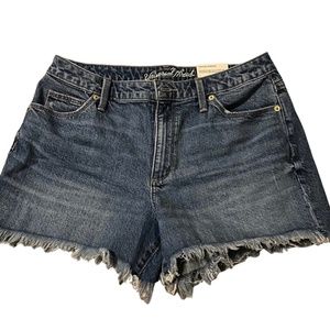 Universal Thread Denim Shorts